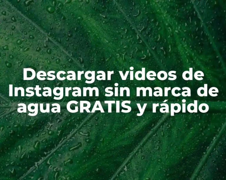 Descargar videos de Instagram sin marca de agua GRATIS y rápido