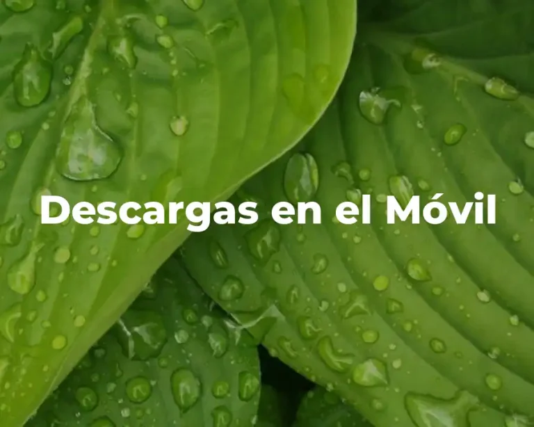 Descargas en el Móvil