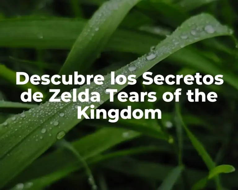Descubre los Secretos de Zelda Tears of the Kingdom
