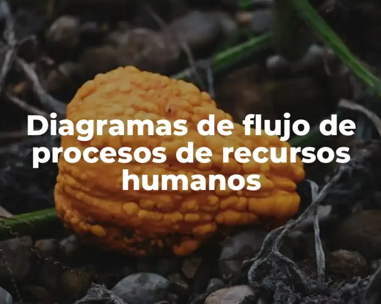 Diagramas de flujo de procesos de recursos humanos