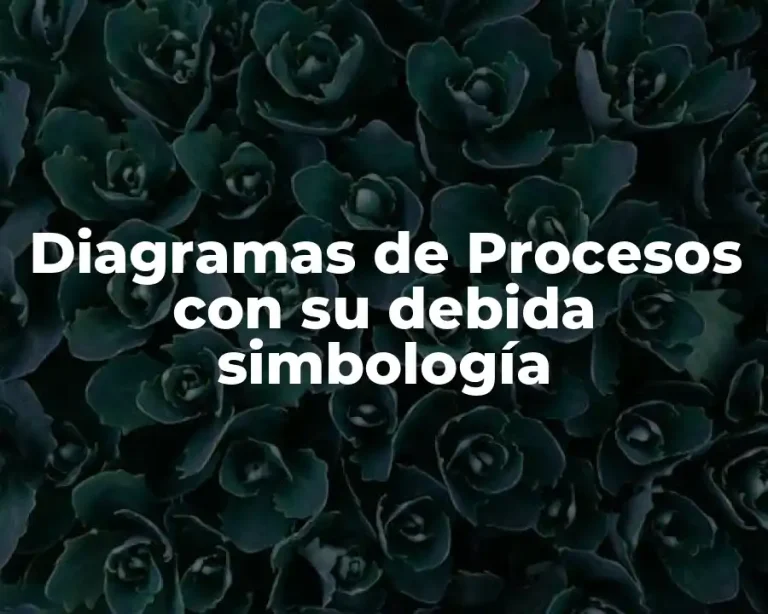 Diagramas de Procesos con su debida simbología