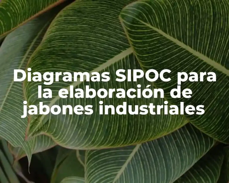 Diagramas SIPOC para la elaboración de jabones industriales