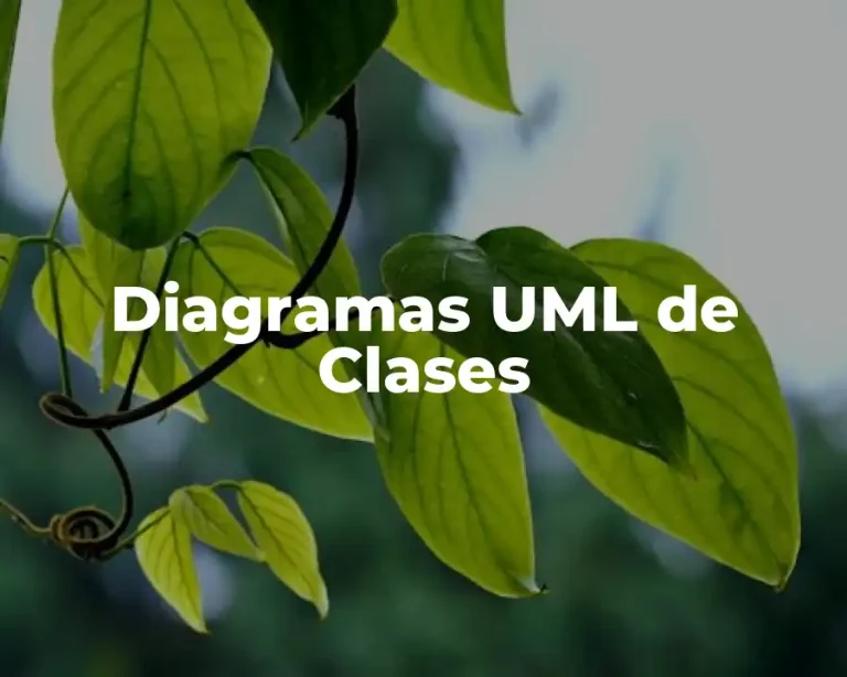 Diagramas UML de Clases