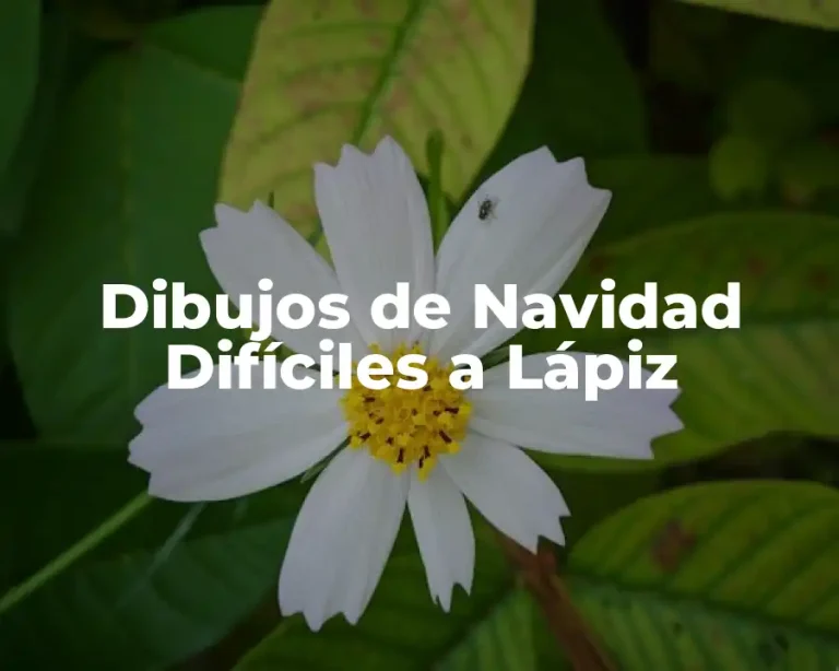 Dibujos de Navidad Difíciles a Lápiz