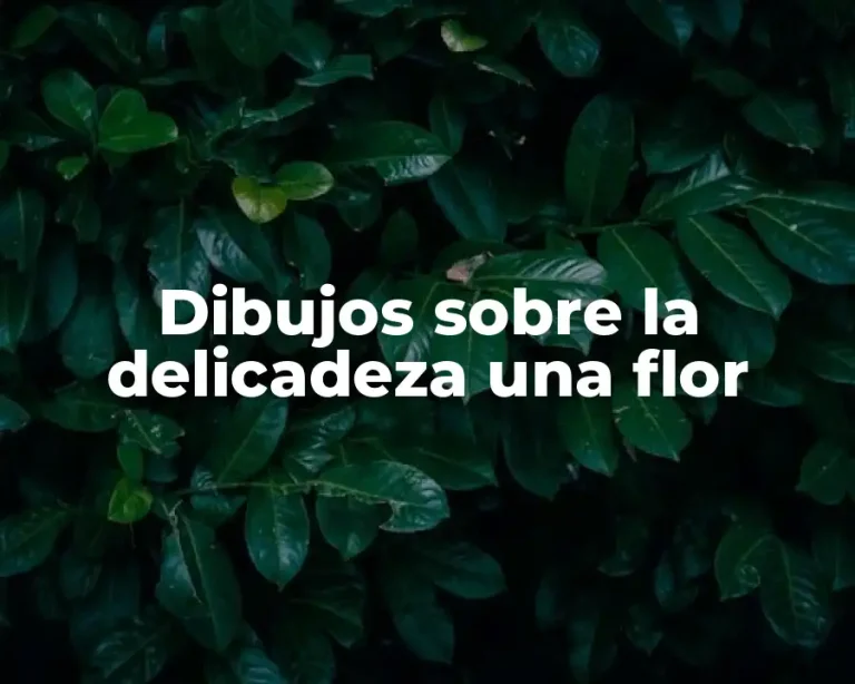 Dibujos sobre la delicadeza una flor