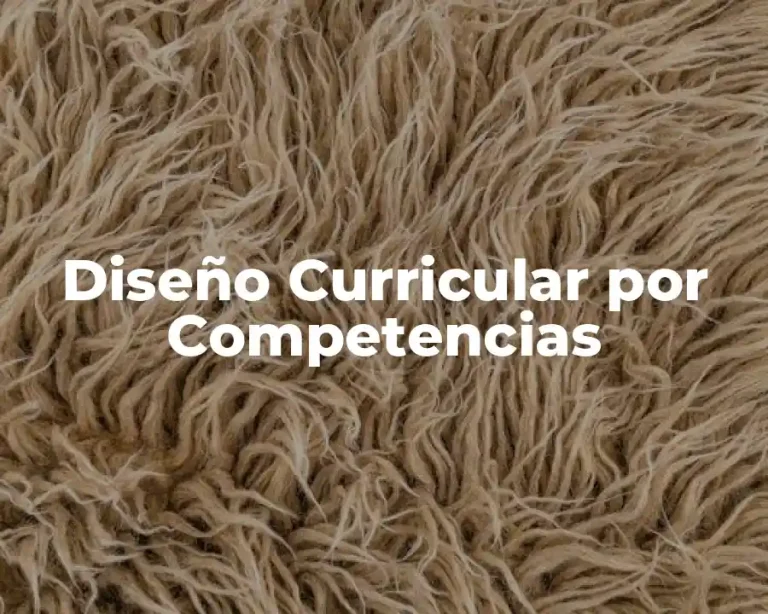 Diseño Curricular por Competencias