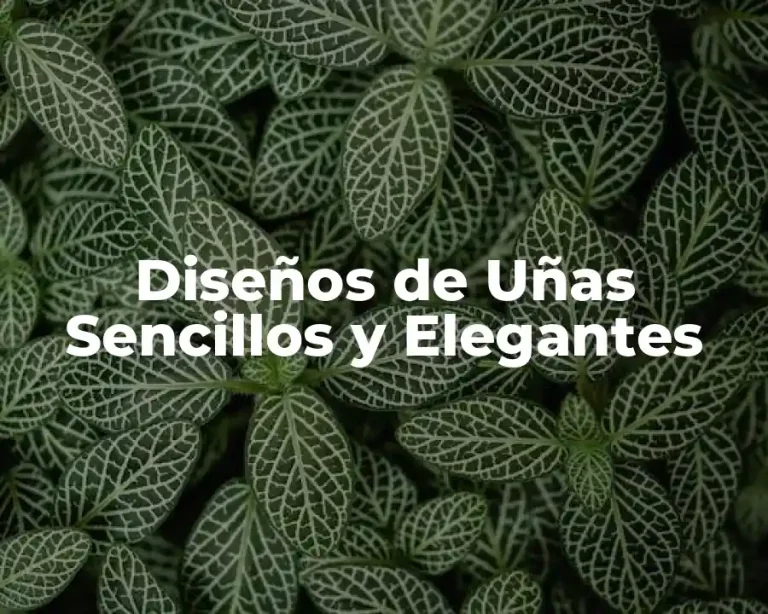 Diseños de Uñas Sencillos y Elegantes