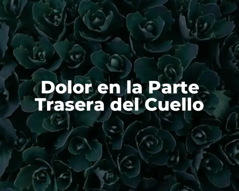 Dolor en la Parte Trasera del Cuello