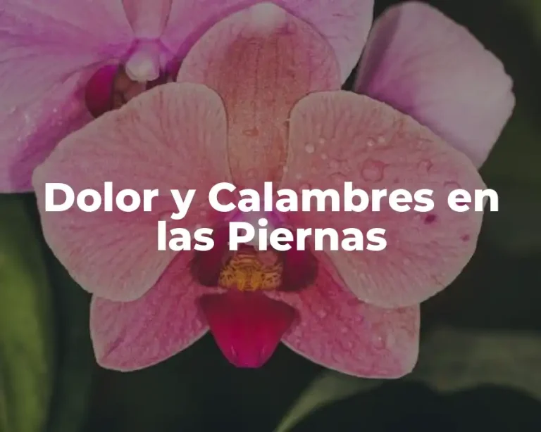Dolor y Calambres en las Piernas