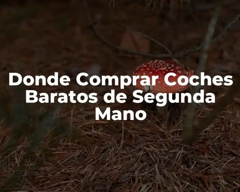 Donde Comprar Coches Baratos de Segunda Mano