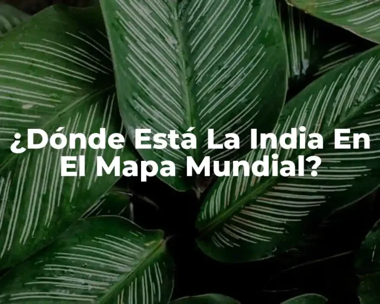 ¿Dónde Está La India En El Mapa Mundial?
