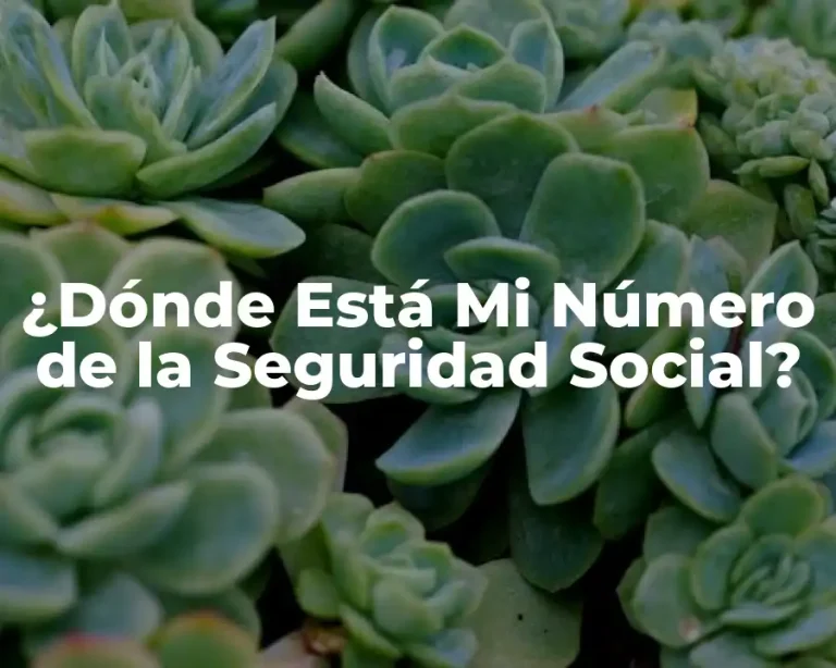 ¿Dónde Está Mi Número de la Seguridad Social?