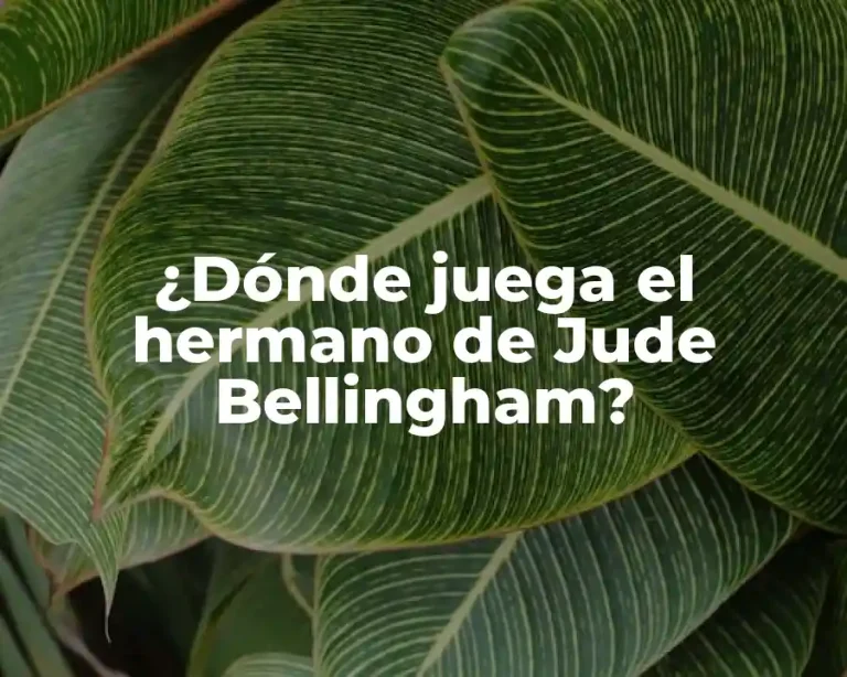 ¿Dónde juega el hermano de Jude Bellingham?