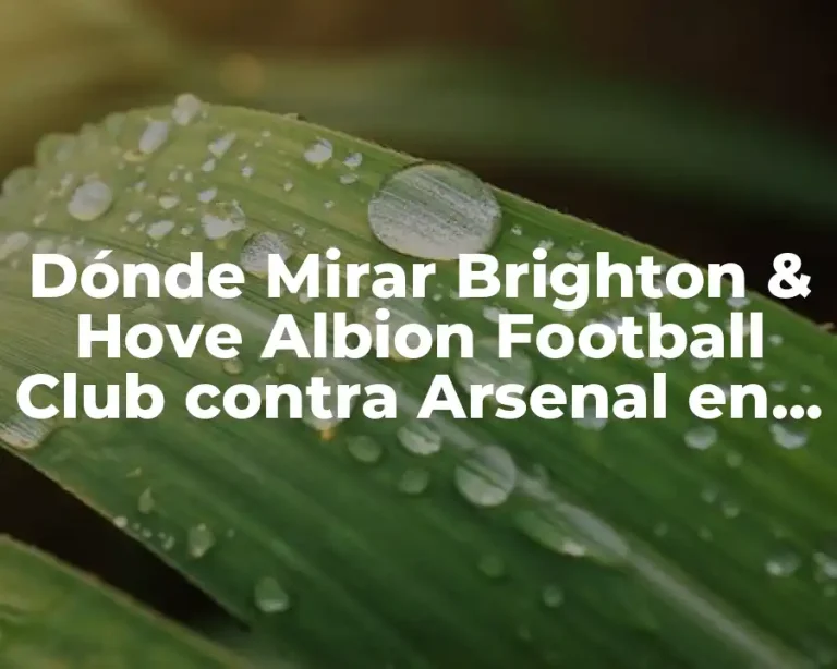 Dónde Mirar Brighton & Hove Albion Football Club contra Arsenal en Vivo