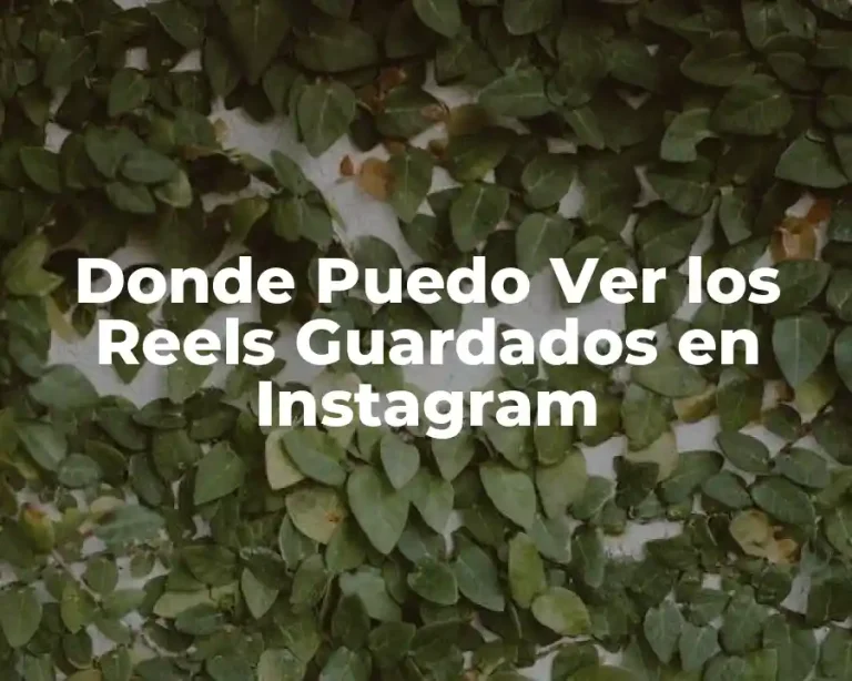Donde Puedo Ver los Reels Guardados en Instagram