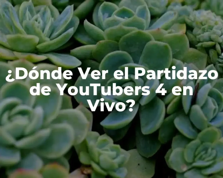 ¿Dónde Ver el Partidazo de YouTubers 4 en Vivo?