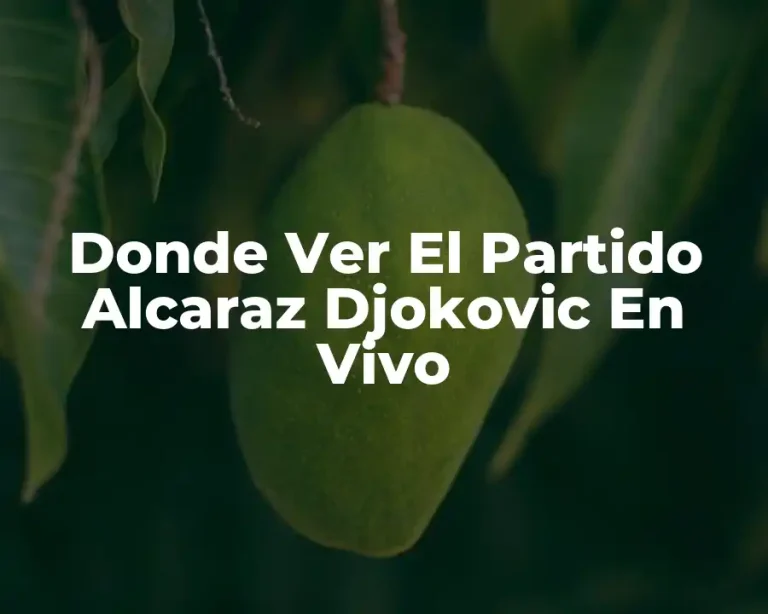 Donde Ver El Partido Alcaraz Djokovic En Vivo