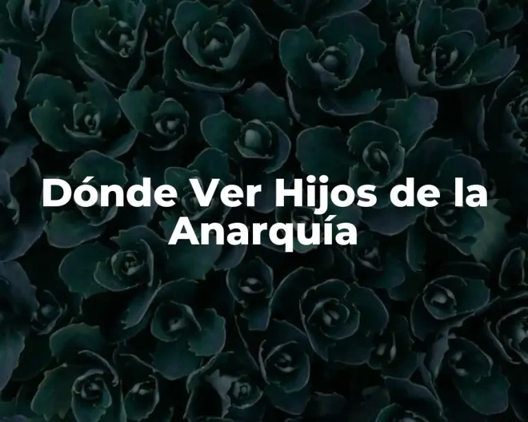 Dónde Ver Hijos de la Anarquía