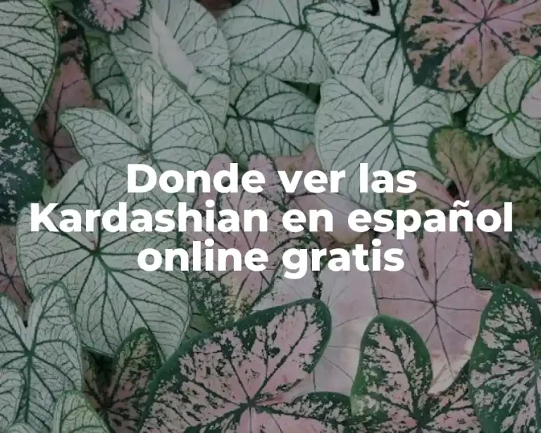 Donde ver las Kardashian en español online gratis