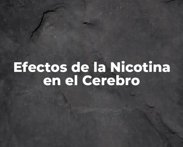 Efectos de la Nicotina en el Cerebro