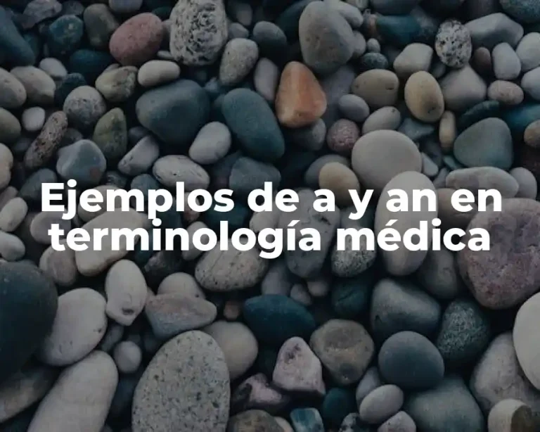 Ejemplos de a y an en terminología médica