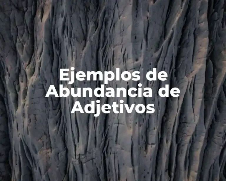 Ejemplos de Abundancia de Adjetivos