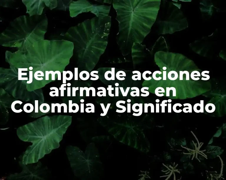 Ejemplos de acciones afirmativas en Colombia y Significado