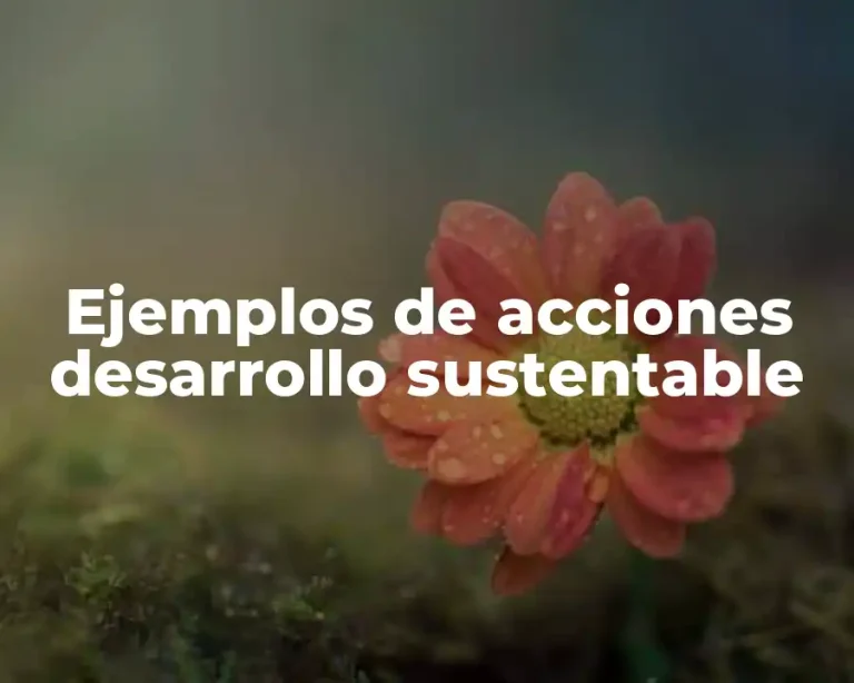 Ejemplos de acciones desarrollo sustentable
