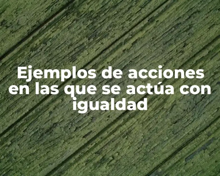 Ejemplos de acciones en las que se actúa con igualdad