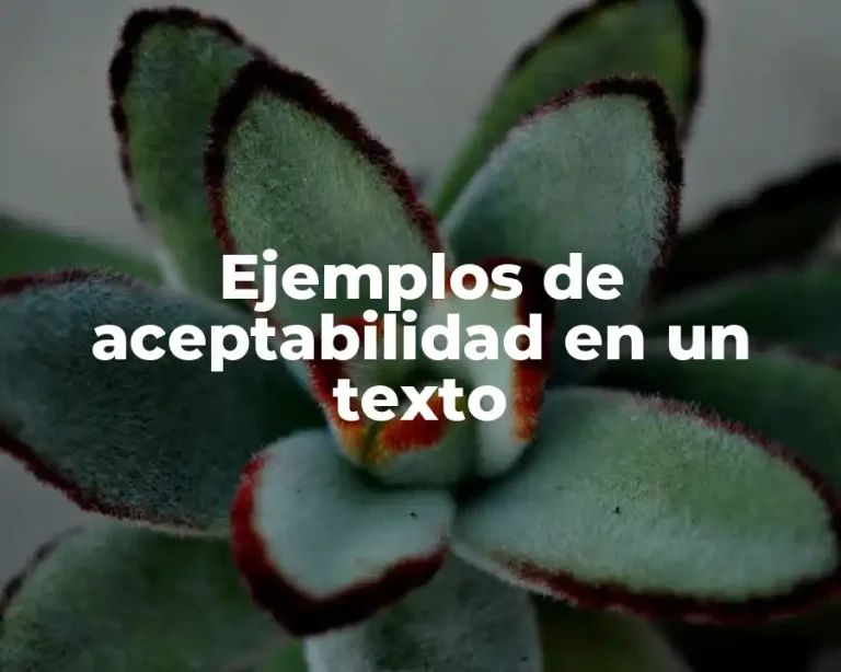 Ejemplos de aceptabilidad en un texto