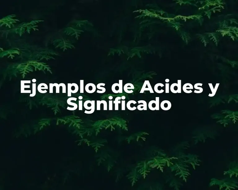 Ejemplos de Acides y Significado