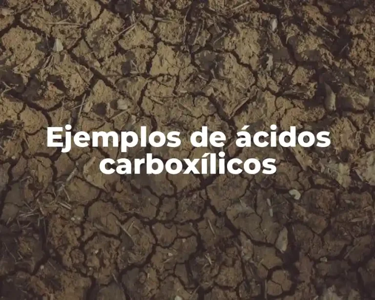Ejemplos de ácidos carboxílicos