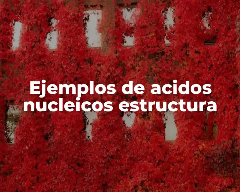 Ejemplos de acidos nucleicos estructura