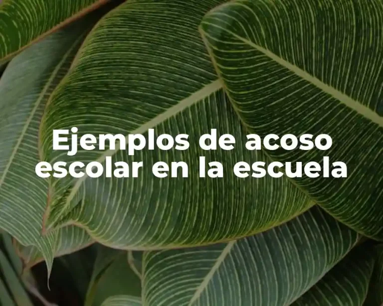 Ejemplos de acoso escolar en la escuela