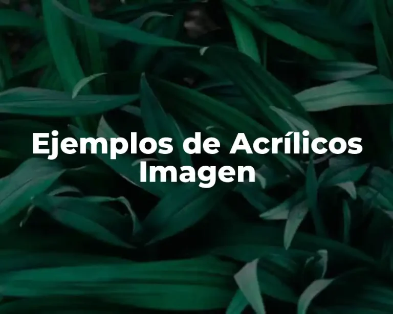Ejemplos de Acrílicos Imagen
