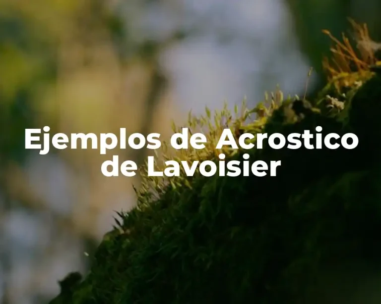 Ejemplos de Acrostico de Lavoisier