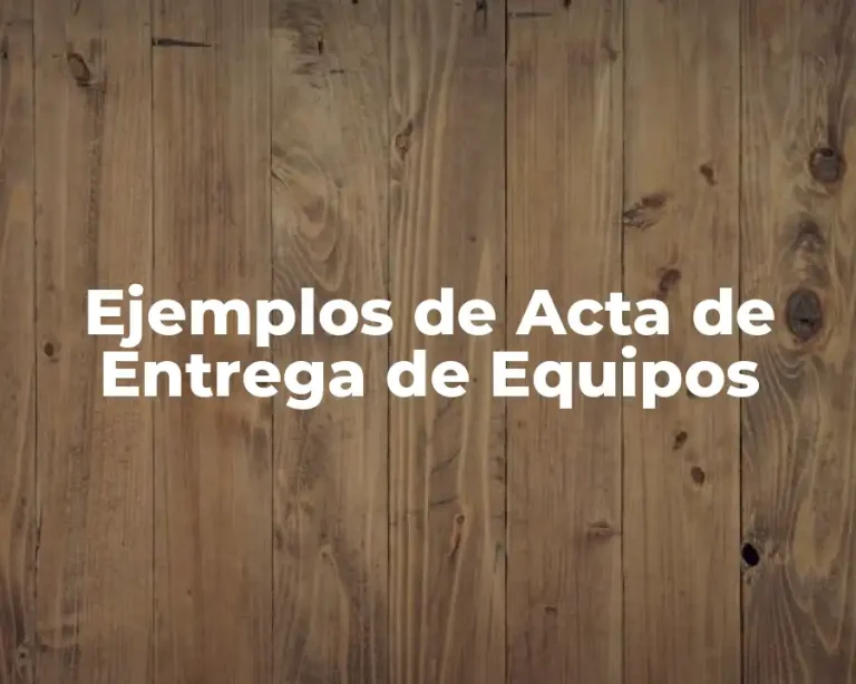 Ejemplos de Acta de Entrega de Equipos