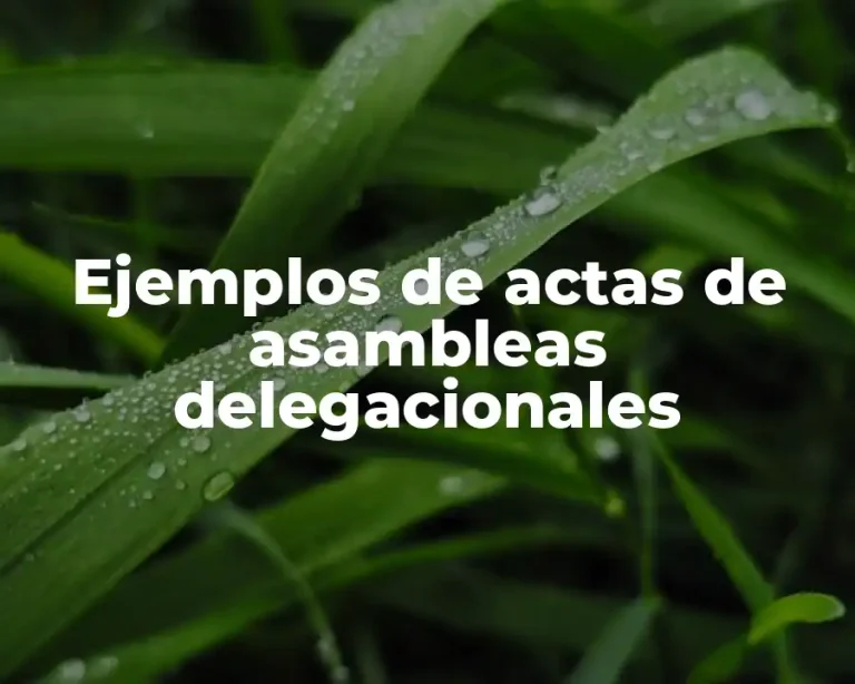 Ejemplos de actas de asambleas delegacionales