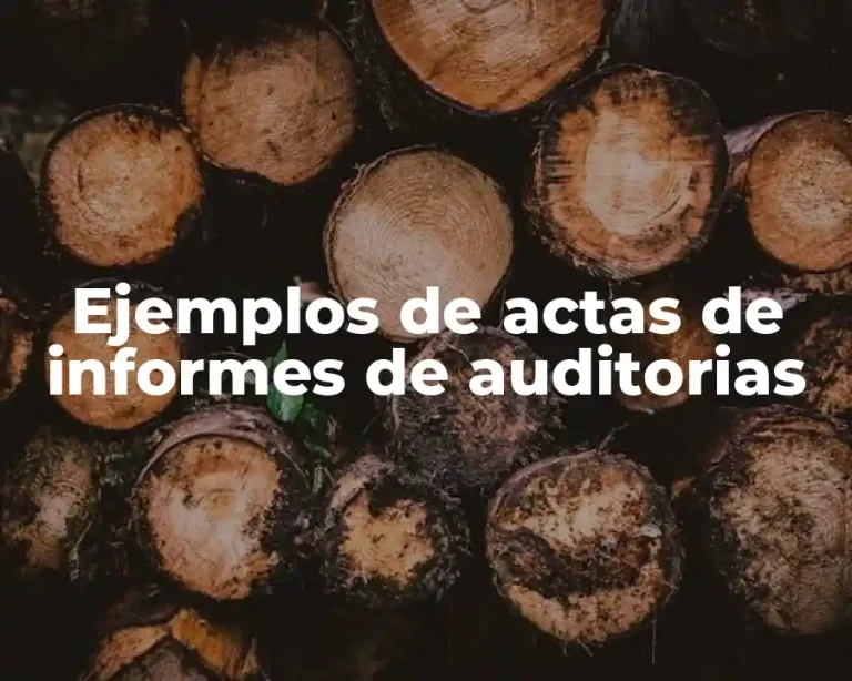 Ejemplos de actas de informes de auditorias
