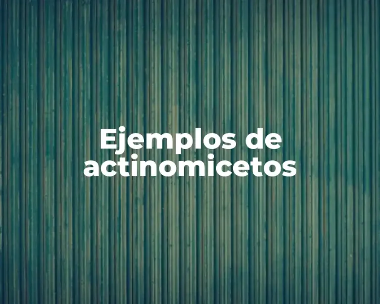 Ejemplos de actinomicetos