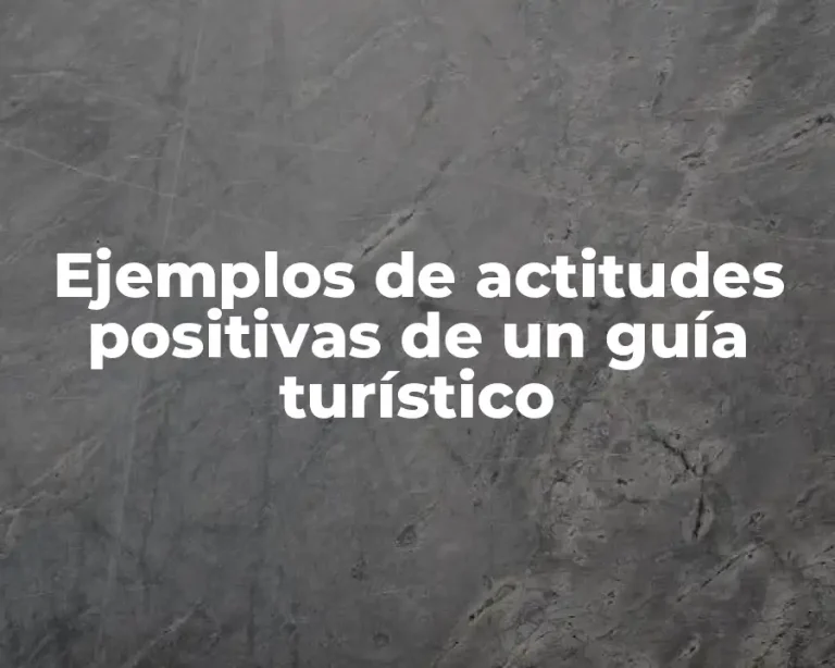 Ejemplos de actitudes positivas de un guía turístico