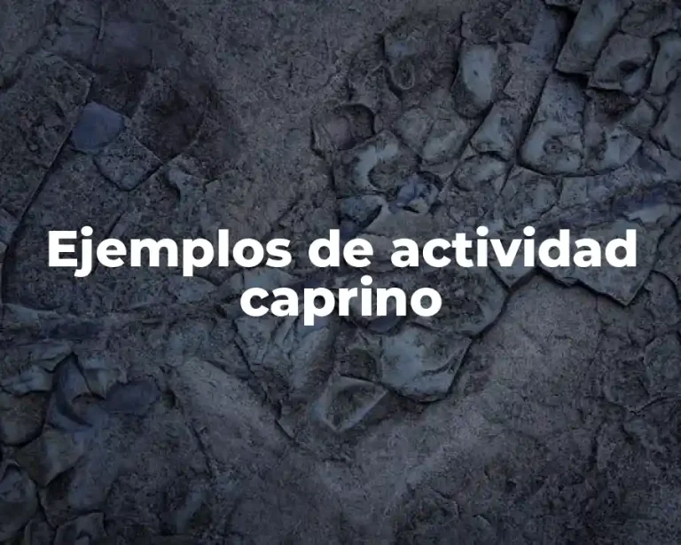 Ejemplos de actividad caprino