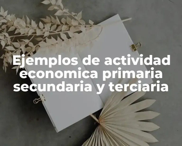 Ejemplos de actividad economica primaria secundaria y terciaria