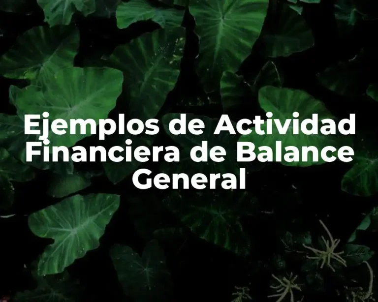 Ejemplos de Actividad Financiera de Balance General