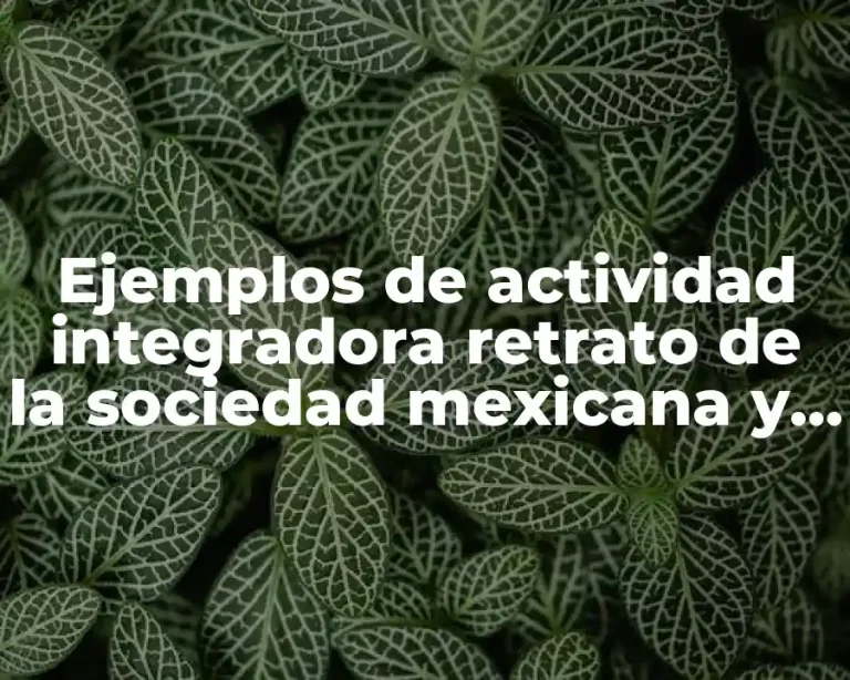 Ejemplos de actividad integradora retrato de la sociedad mexicana y Significado