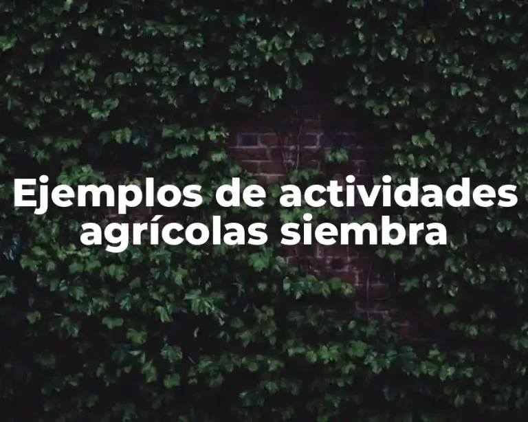 Ejemplos de actividades agrícolas siembra