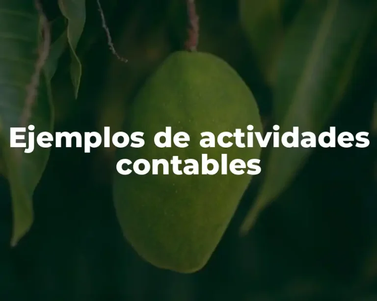 Ejemplos de actividades contables