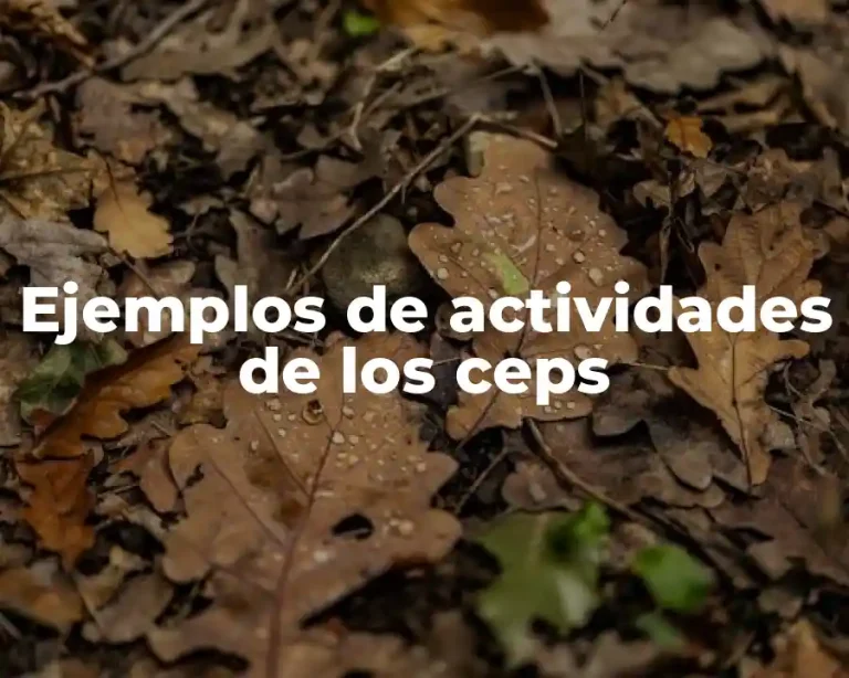 Ejemplos de actividades de los ceps