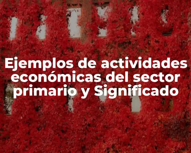 Ejemplos de actividades económicas del sector primario y Significado
