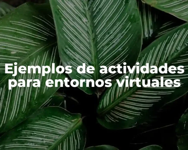 Ejemplos de actividades para entornos virtuales